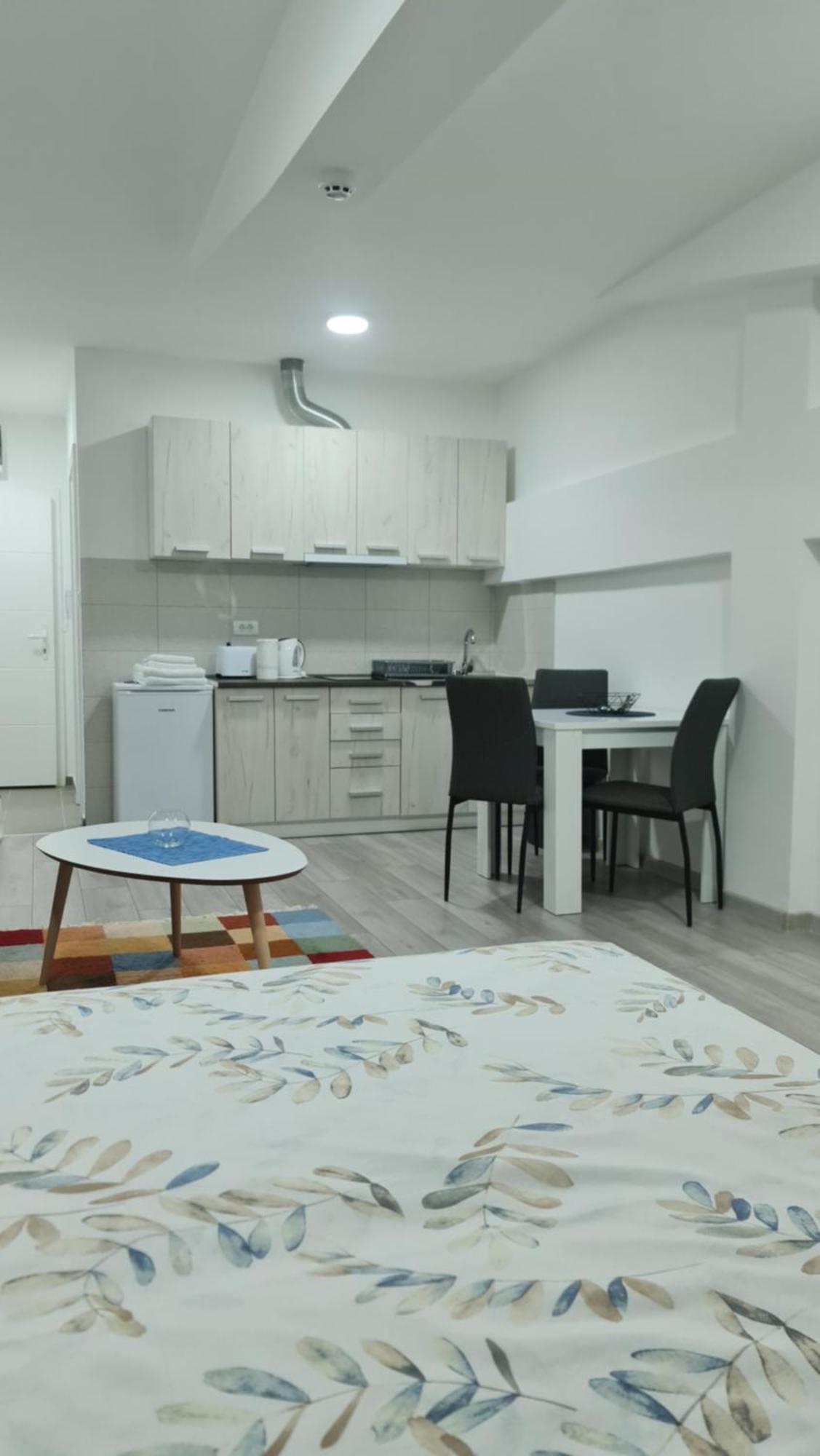 Studio Apartmani Banja Koviljača Rom bilde