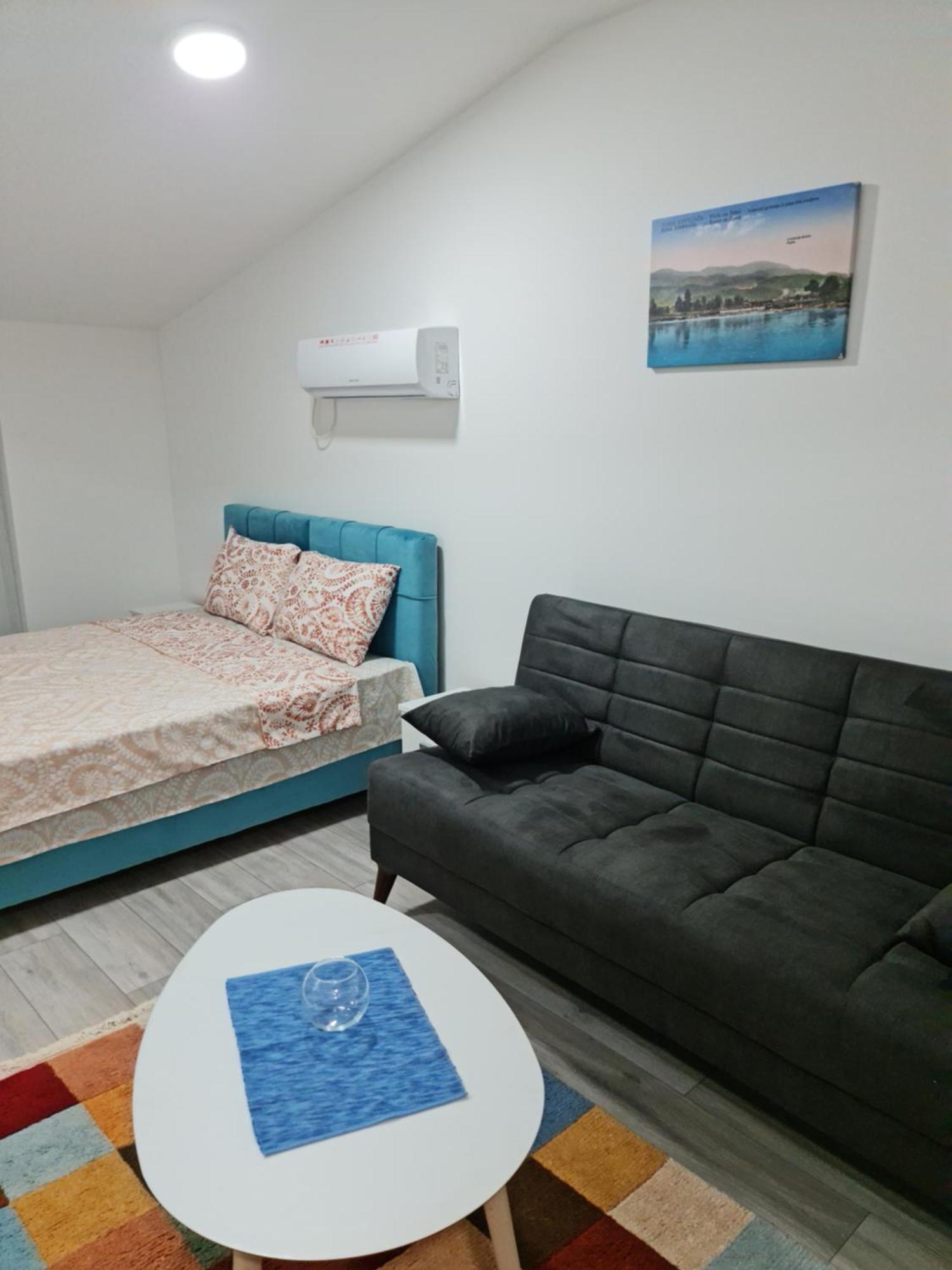 Studio Apartmani Banja Koviljača Rom bilde