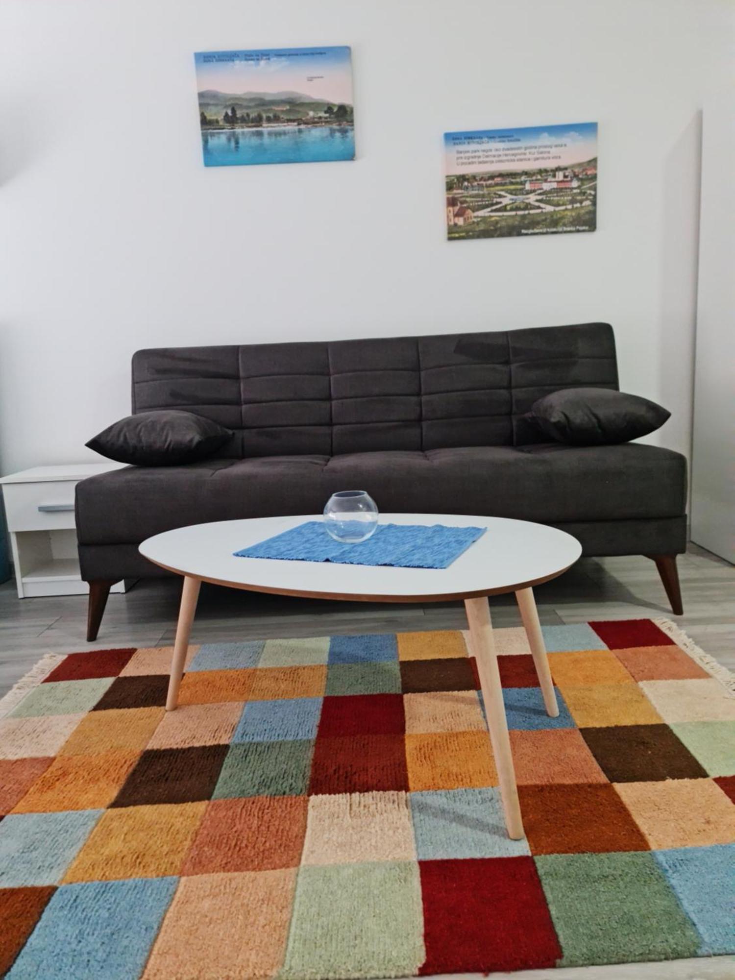 Studio Apartmani Banja Koviljača Rom bilde